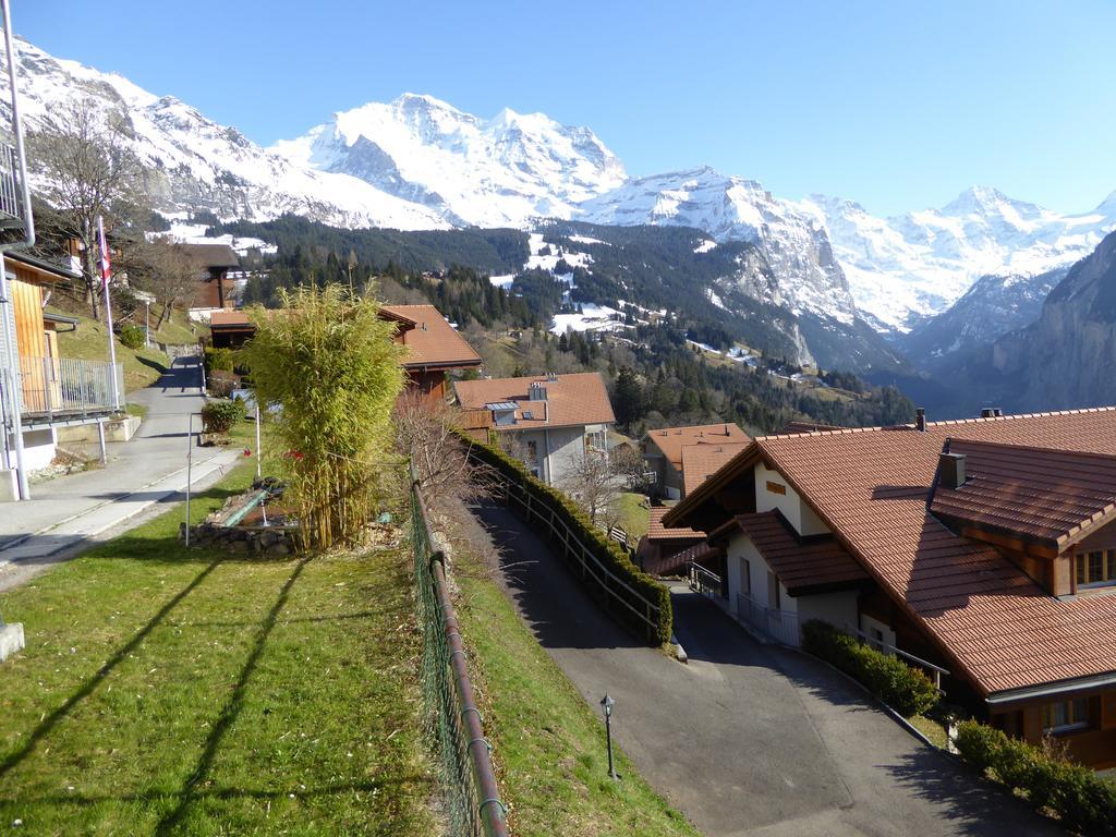 Chalet Gerbera Wengen Rum bild