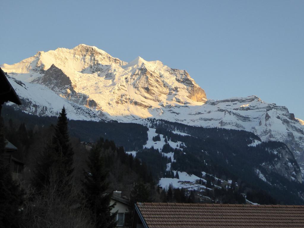Chalet Gerbera Wengen Rum bild