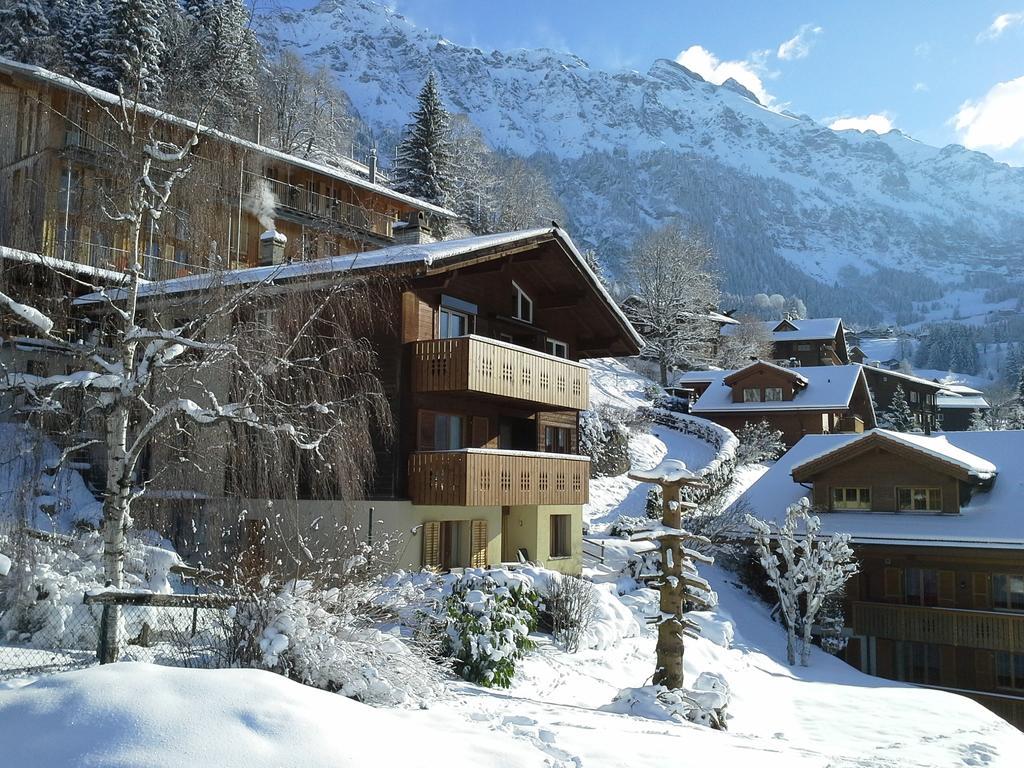 Chalet Gerbera Wengen Rum bild