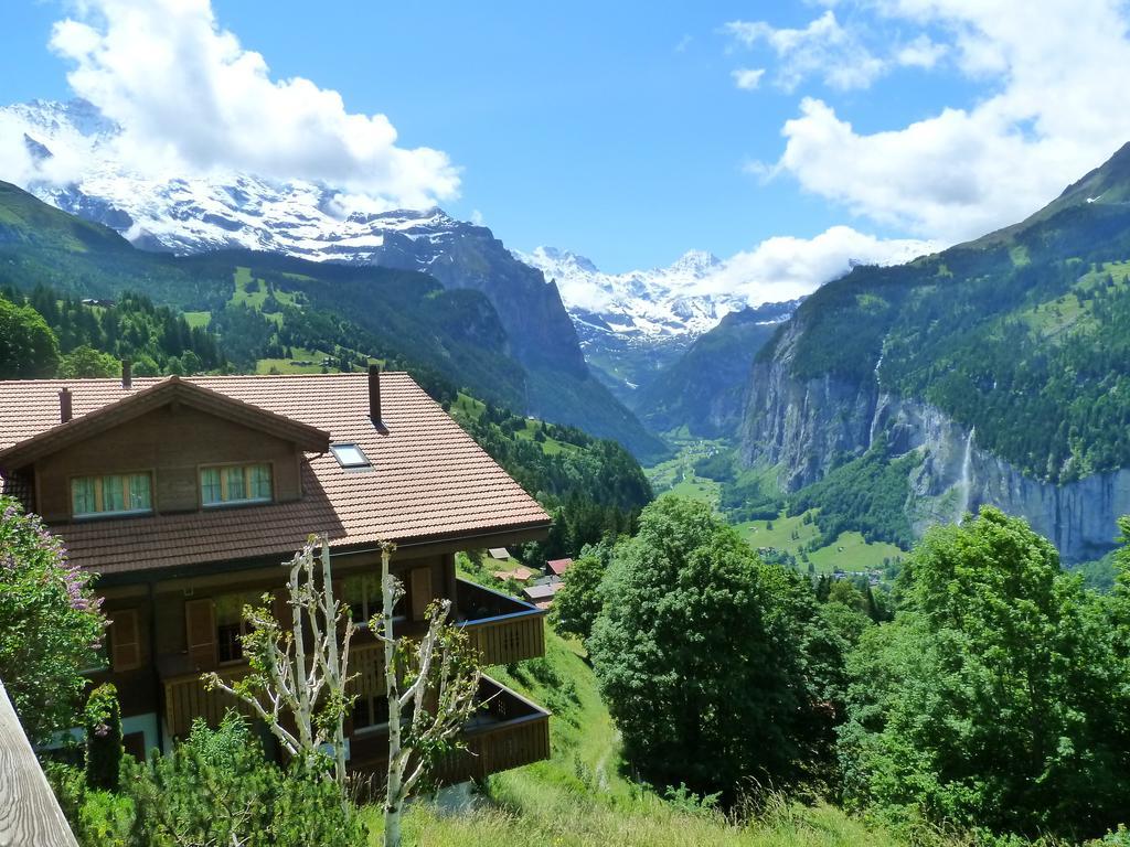 Chalet Gerbera Wengen Exteriör bild