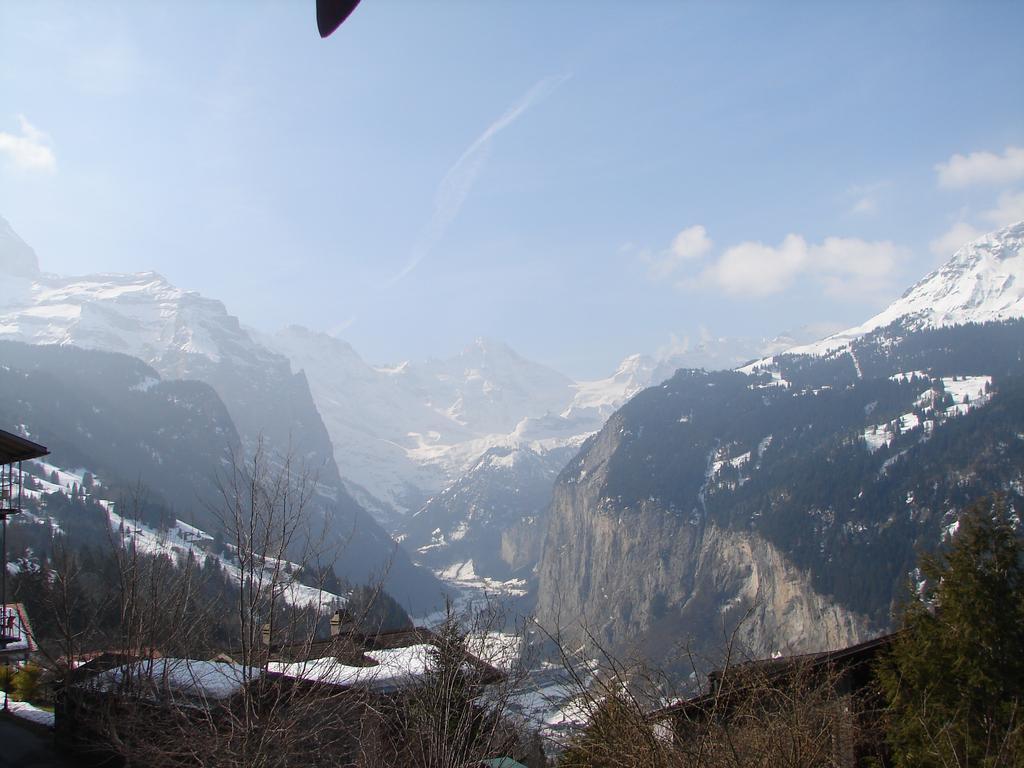 Chalet Gerbera Wengen Rum bild