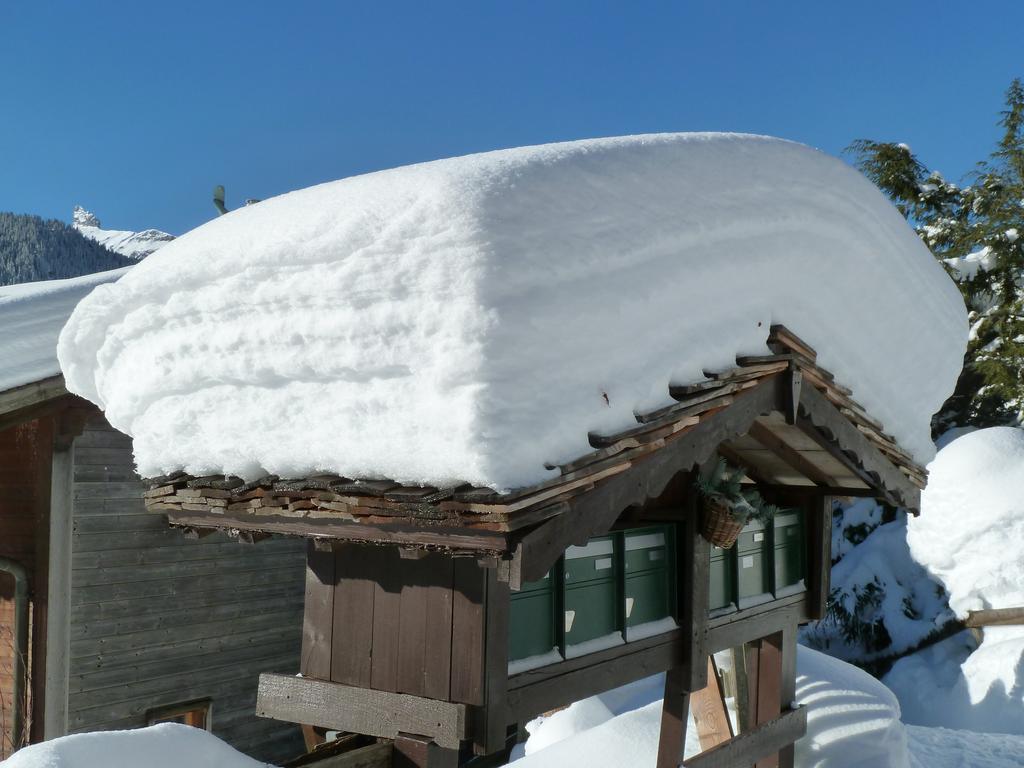 Chalet Gerbera Wengen Exteriör bild