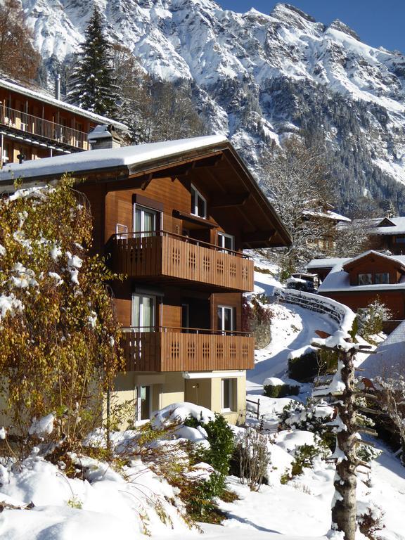 Chalet Gerbera Wengen Exteriör bild