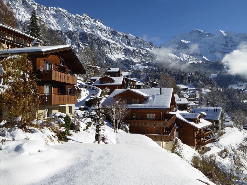 Chalet Gerbera Wengen Exteriör bild