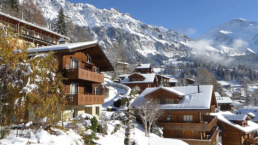 Chalet Gerbera Wengen Exteriör bild