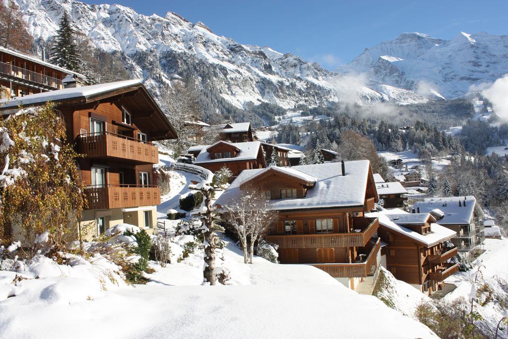 Chalet Gerbera Wengen Exteriör bild