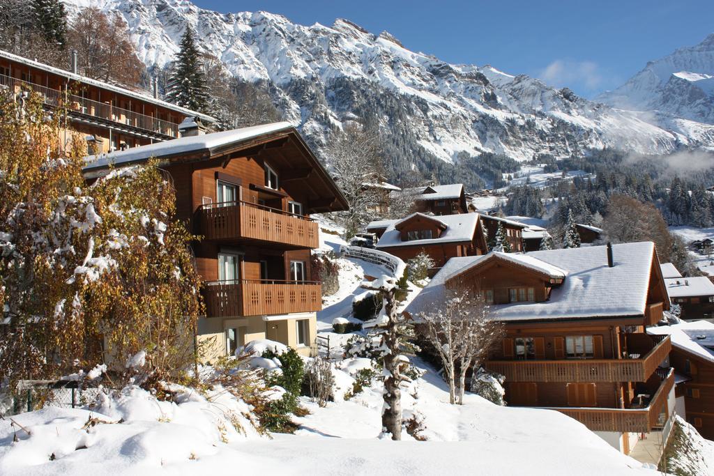 Chalet Gerbera Wengen Exteriör bild