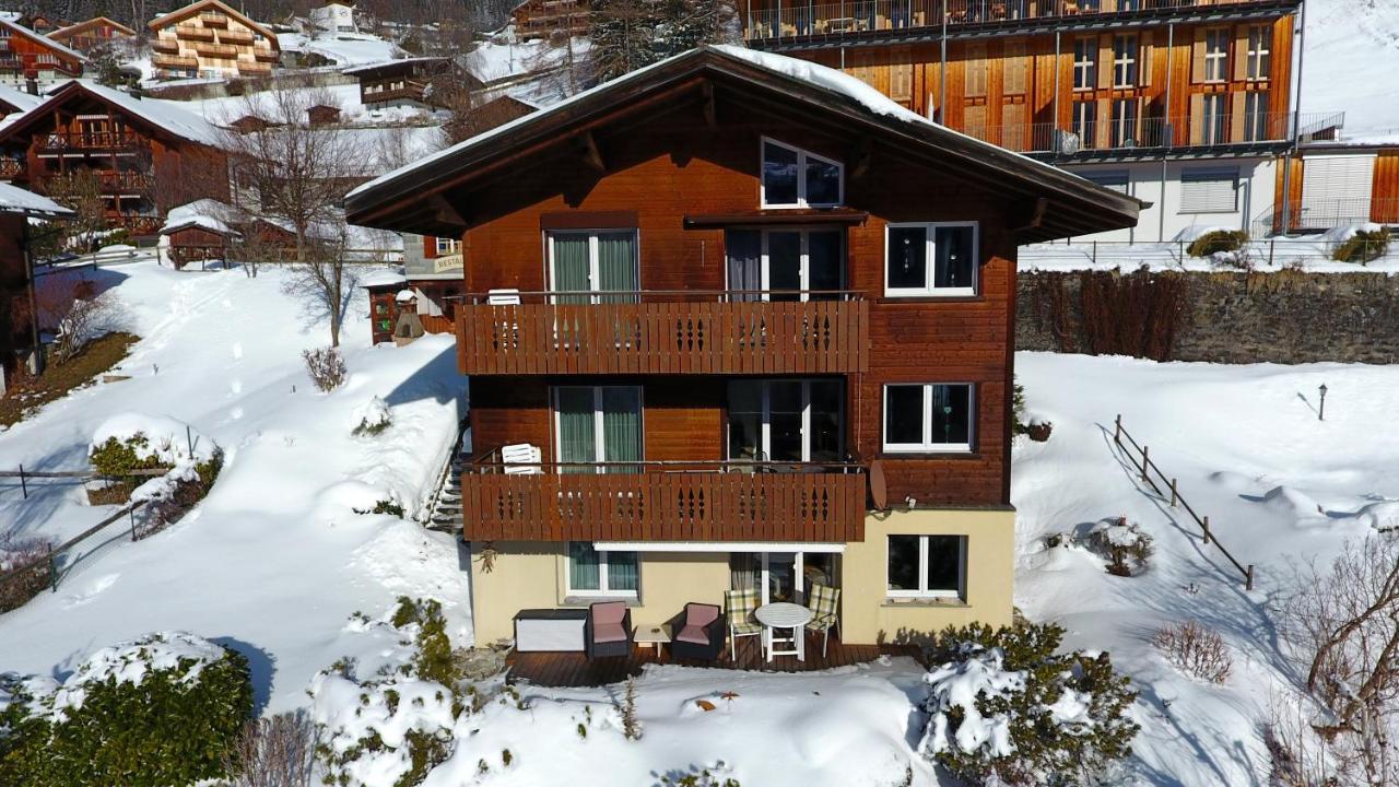 Chalet Gerbera Wengen Exteriör bild